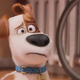 Illustration for article titled The New iSecret Life of Pets/i Trailer Explores the World of Canine Sibling Rivalry